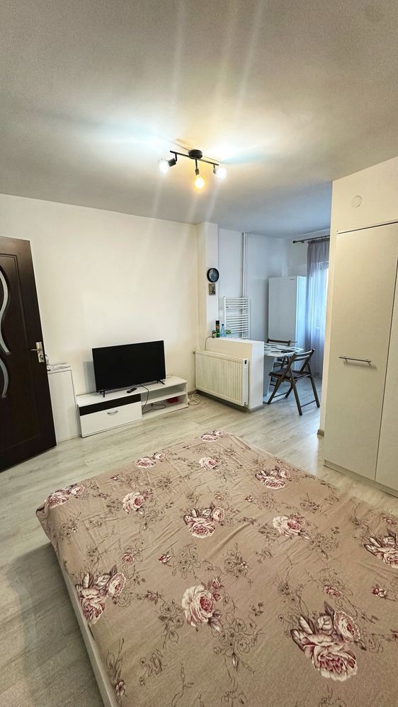 Garsoniera de inchiriat zona Lapus Arges - Poză 2