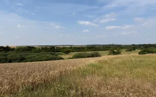 Teren intravilan Miersig, vedere la lac. 12,5 E/mp neg. Comision 0 - Poză 13