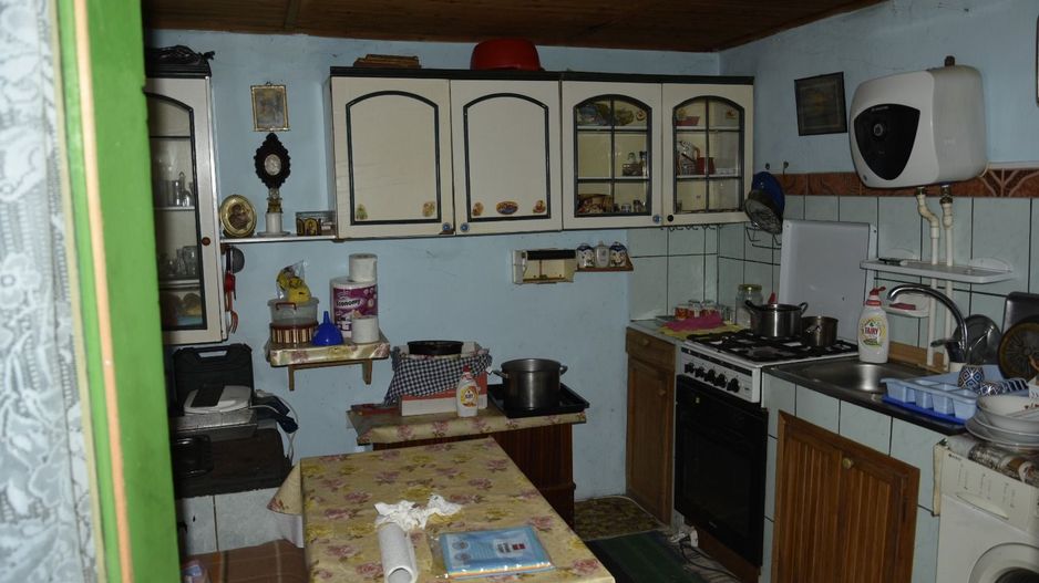 CASĂ TRADIȚIONALĂ CU GRĂDINĂ GENEROASĂ ȘI VIE – ISACCEA, JUD. TULCEA - Poză 12
