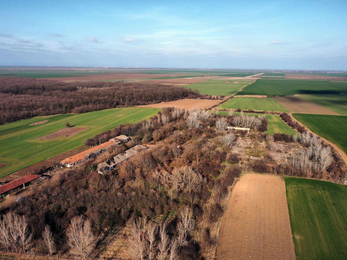 Ferma si livada de meri in judetul Ilfov - Poză 17