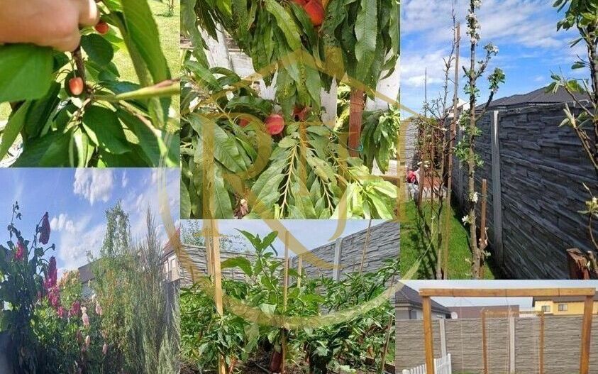 Oferim spre vanzare 1/ 2 Duplex mobilat si utilat in Mosnita Veche! - Poză 9