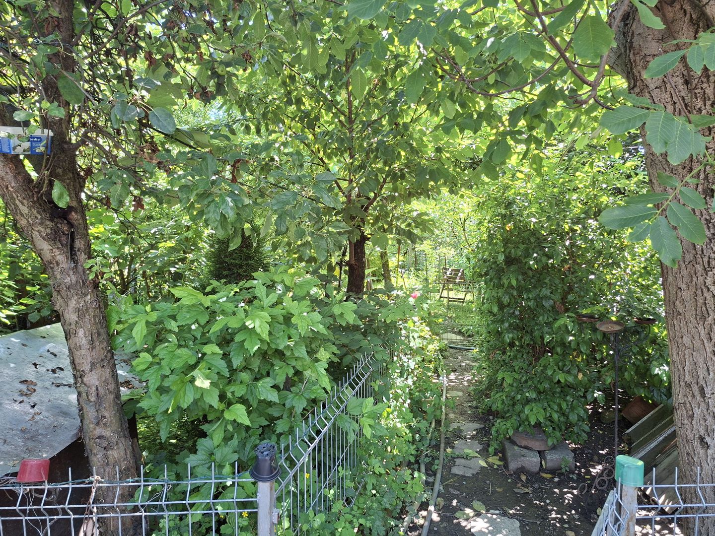 BRASADAS vinde casa individuala 4 cam 4.1 ari Semicentral. - Poză 9