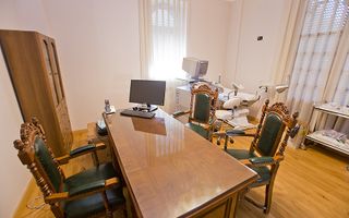 VIla Kiseleff de vanzare- Palat - Poză 27