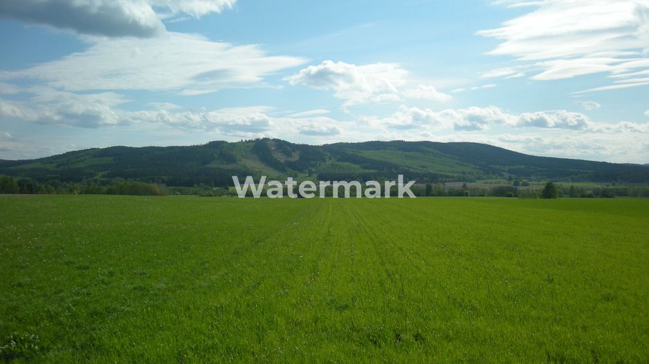 Teren cu PUZ de vanzare in Faget! - Poză 2