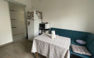 AP. 2 CAMERE- IANCULUI, PET-FRIENDLY, BUCATARIE INCHISA, REABILITAT - Poză 4