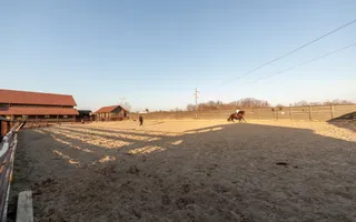 Inchiriere - Centrul de Echitatie Andaluz - Ciocanai, Jud. Arges! - Poză 17
