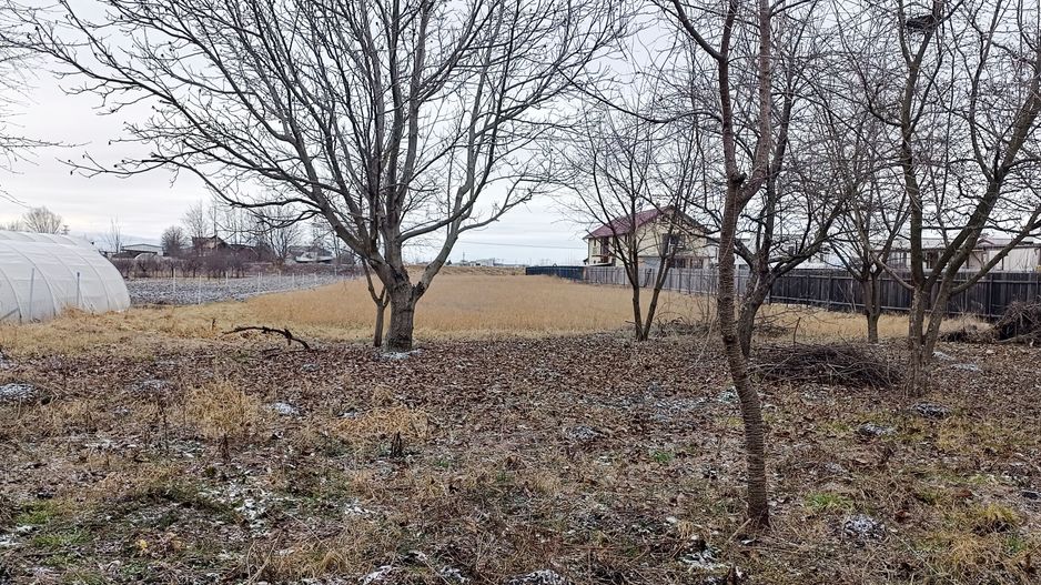 Hala si teren  in Stupini Basov - Poză 3