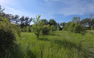 Teren intravilan | Goranu,Râmnicu Vâlcea | Barajul Oltului |1.320 mp - Poză 9