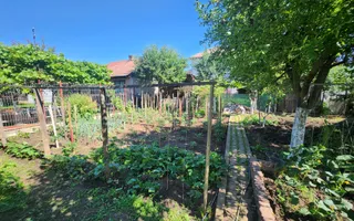 De vanzare casa 5 camere, 655mp teren, zona Cetate - Poză 17