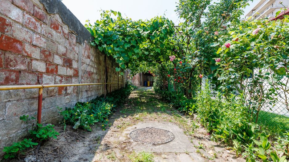 FOISORUL DE FOC | Teren 259mp cu casa veche 9 min metrou Iancului - Poză 6