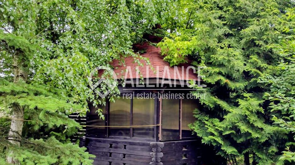 BREBU/PRAHOVA(cod04)-Casa P+1 zona mirifica - Poză 4