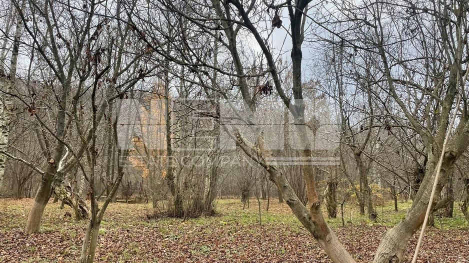 CABANA MODERNA 300 mp 🌲 - Poză 7