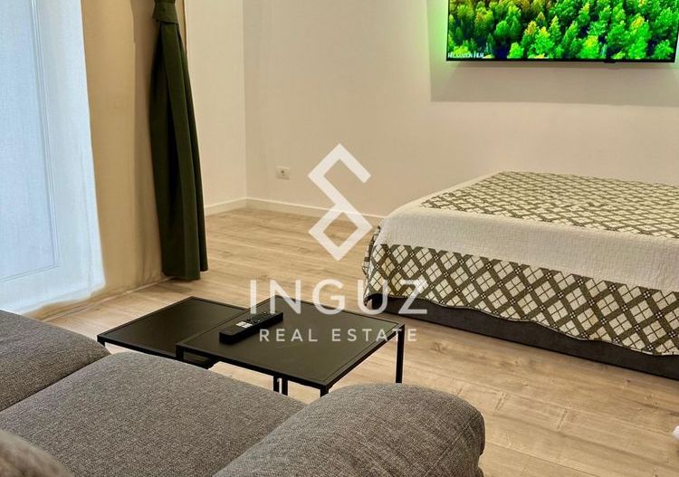 Garsonieră de închiriat – Ghica Apartments | Curte proprie | Prim - Poză 3