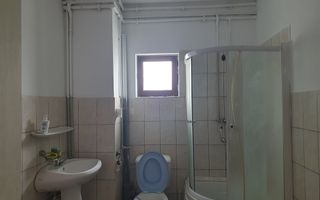 2 HALE de 357 mp si 474 mp  si teren intravilan de 5423 mp  Isalnita - Poză 8