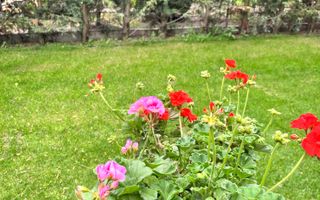 Casă de vânzare  Balotești Ilfov zona iesire Tunari, Dimieni - Poză 24