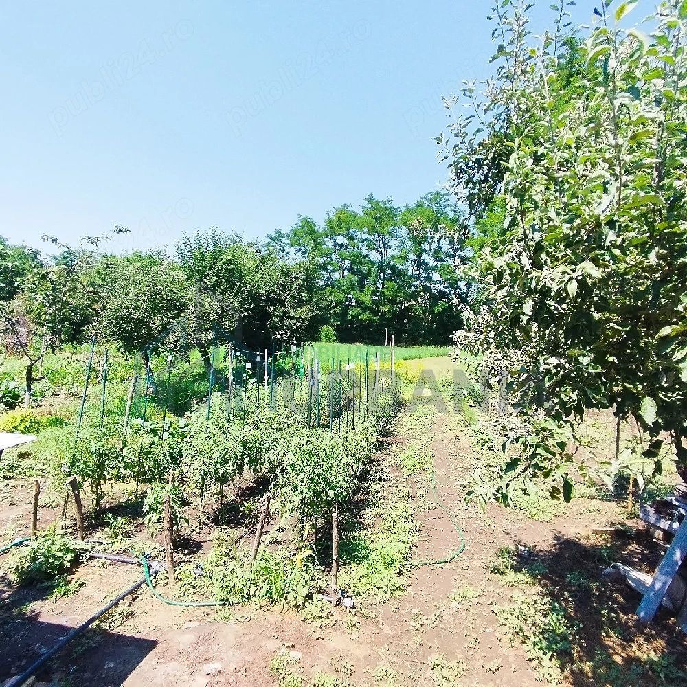 Casă de vânzare, zona Al. I. Cuza, Iași - Poză 6