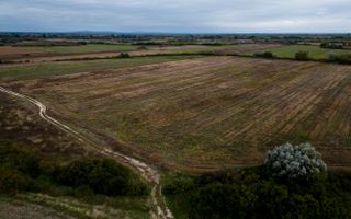 Teren agricol de 34.500mp în Albina, Județul Timiș - Poză 2
