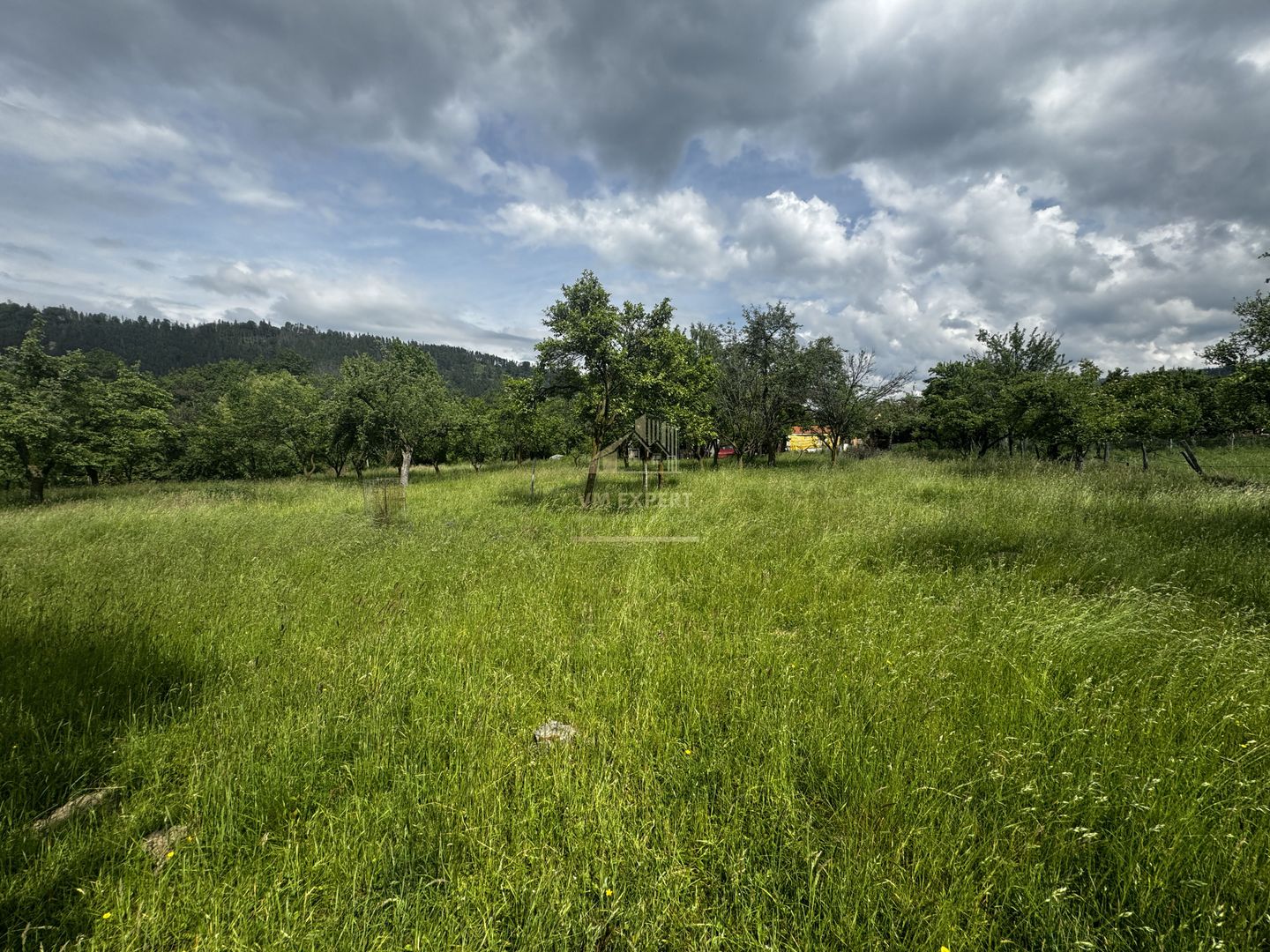 TEREN INTRAVILAN 4600 MP, VOINESTI, LERESTI, ARGEȘ - Poză 13