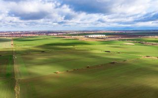 Teren de 49000 mp în Arad - Poză 6