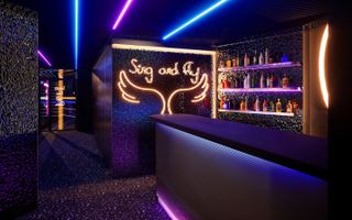SPATIU COMERCIAL | CLUB | BAR | KARAOKE | STUDIO PODCAST| EVENIMENTE PRIVATE - Poză 6