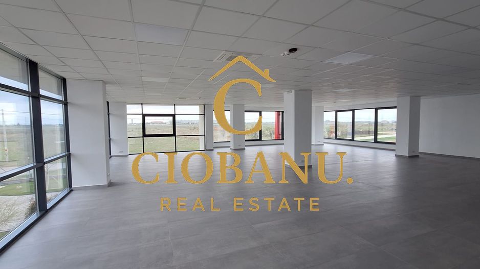 Hale industriale+Cladire de Birouri de inchiriat zona Aeroport - Poză 6