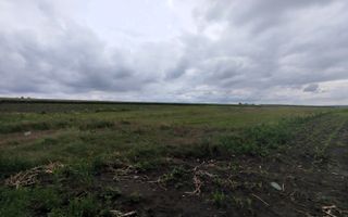 Teren Agricol de Vânzare – 78 Ari în Comuna Răzeni | Investiție cu Potențial! - Poză 5