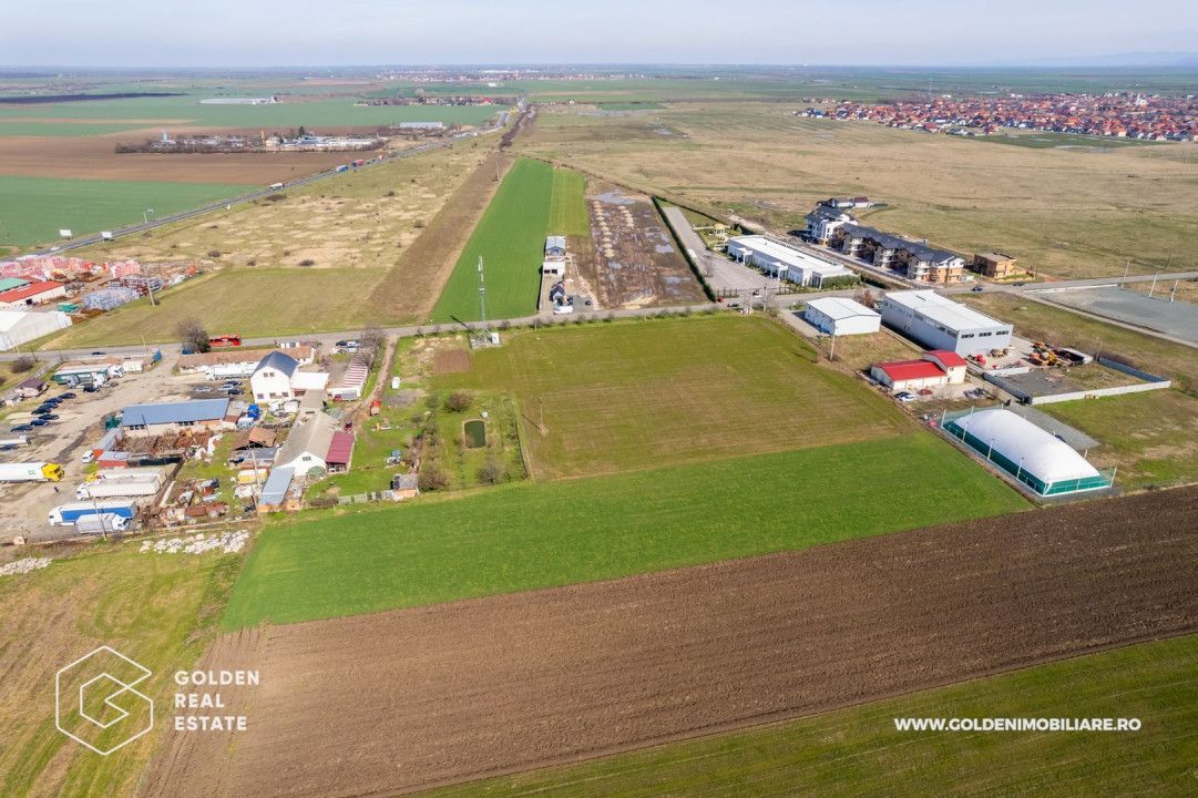 Teren extravilan, 20000 mp, Sanleani - Poză 4