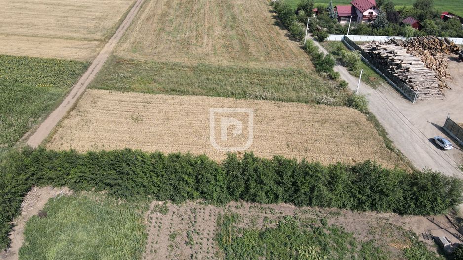 Teren 2000mp INTRAVILAN | Ilisesti | Bucovina - Poză 4