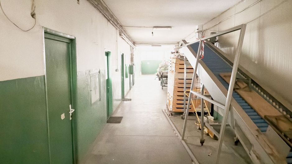 Hala industriala de vanzare Arad – 589 mp - Poză 5