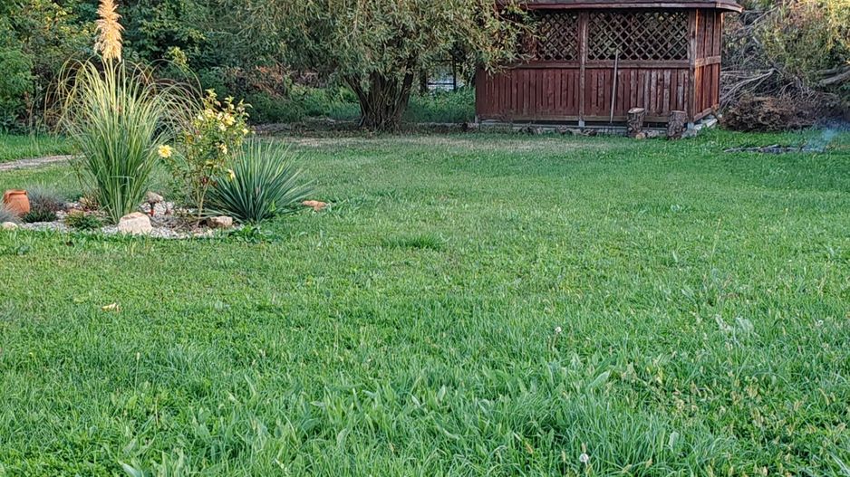 Vilă cu 8 camere de vânzare, piscina, livada, iesire la Balta Pasarea - Poză 36