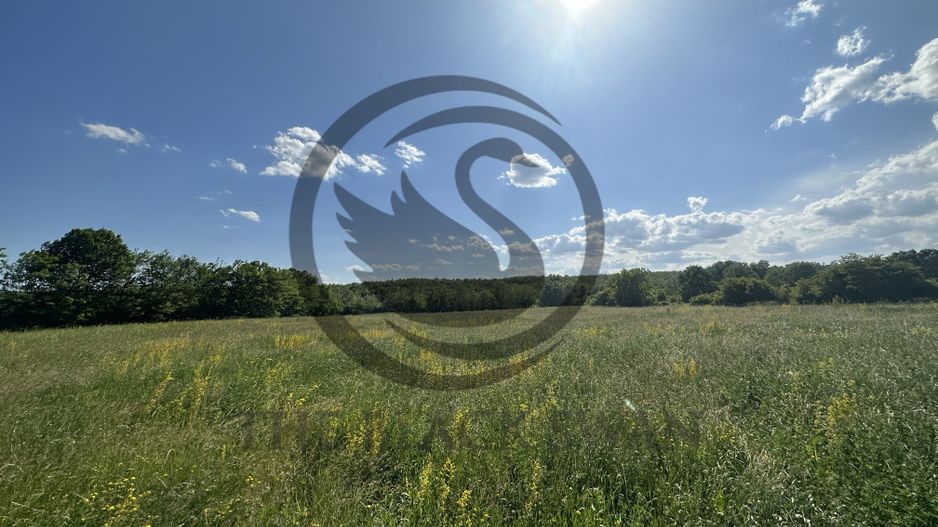 Teren Vanzare 11.000 MP Ghirdoveni | Comision 0% - Poză 8