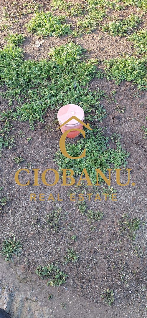 Casa de vanzare zona Damila-Capsunarie - Poză 11