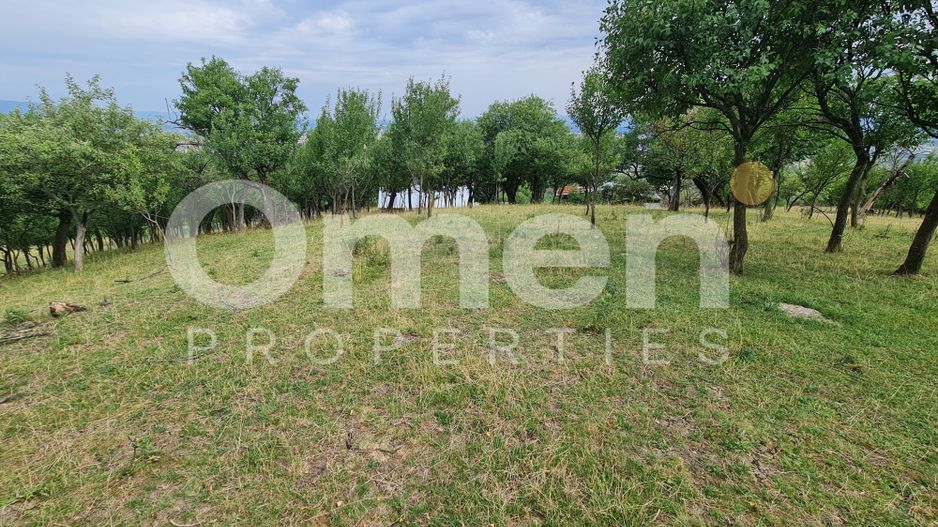 Teren de vânzare | Suprafață 10.040 mp | 2.500 € / ar | Strada Nucului - Poză 8