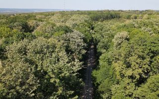 Vânzare, teren pentru construcție, 9.21 ha, Micăuți, Sireț - Poză 5