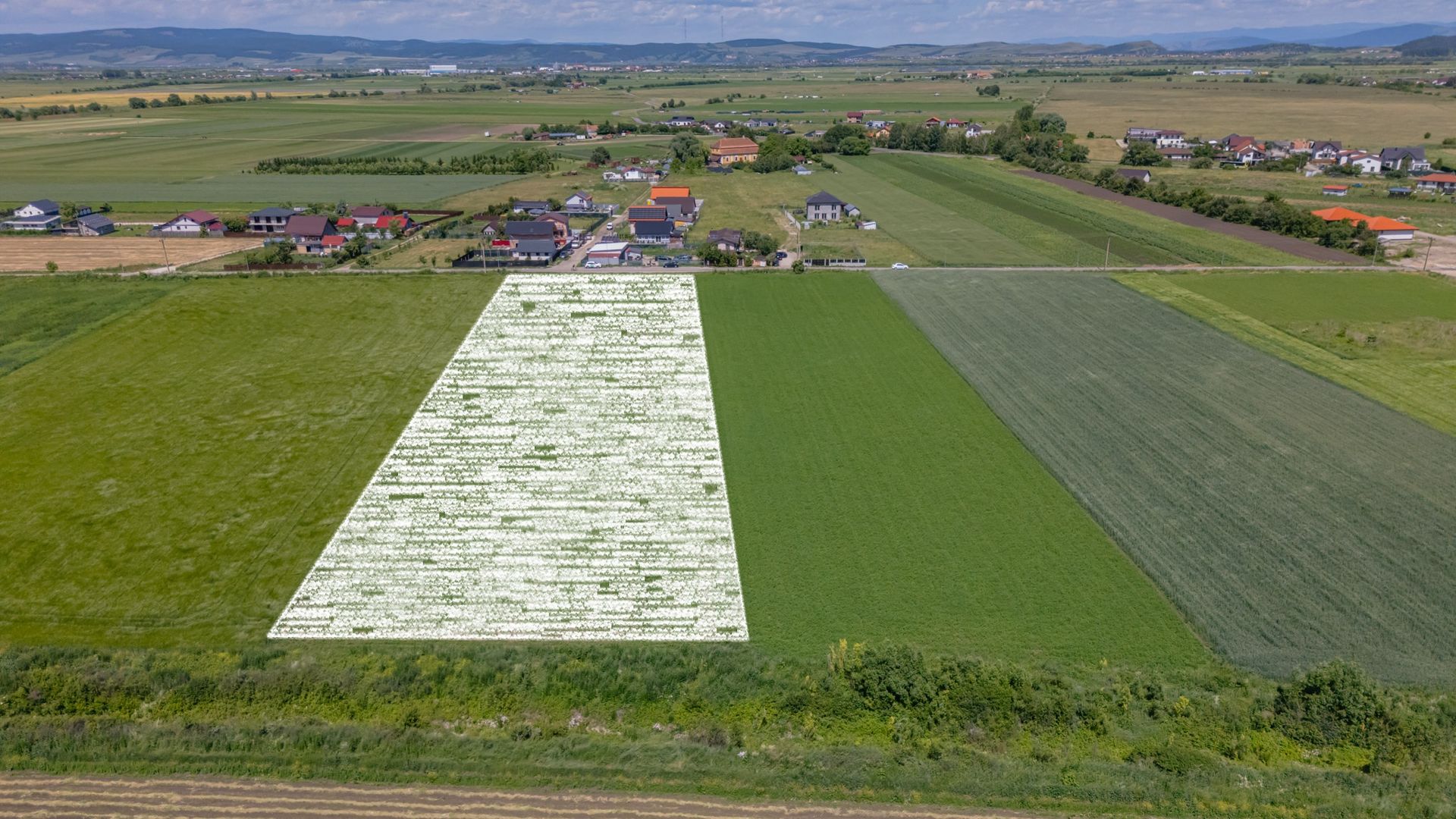 Teren 9.300 mp Stupini | Front 45.59 m la Asfalt | PUG Zonă L1c - Poză 3