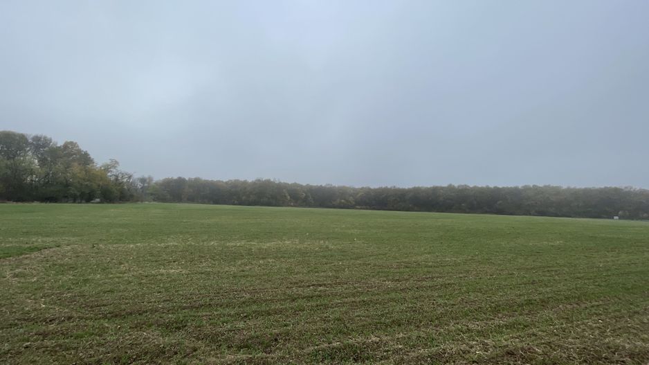 9400 mp | Ideal pentru investitie | Tunari | Deschidere la padure - Poză 6