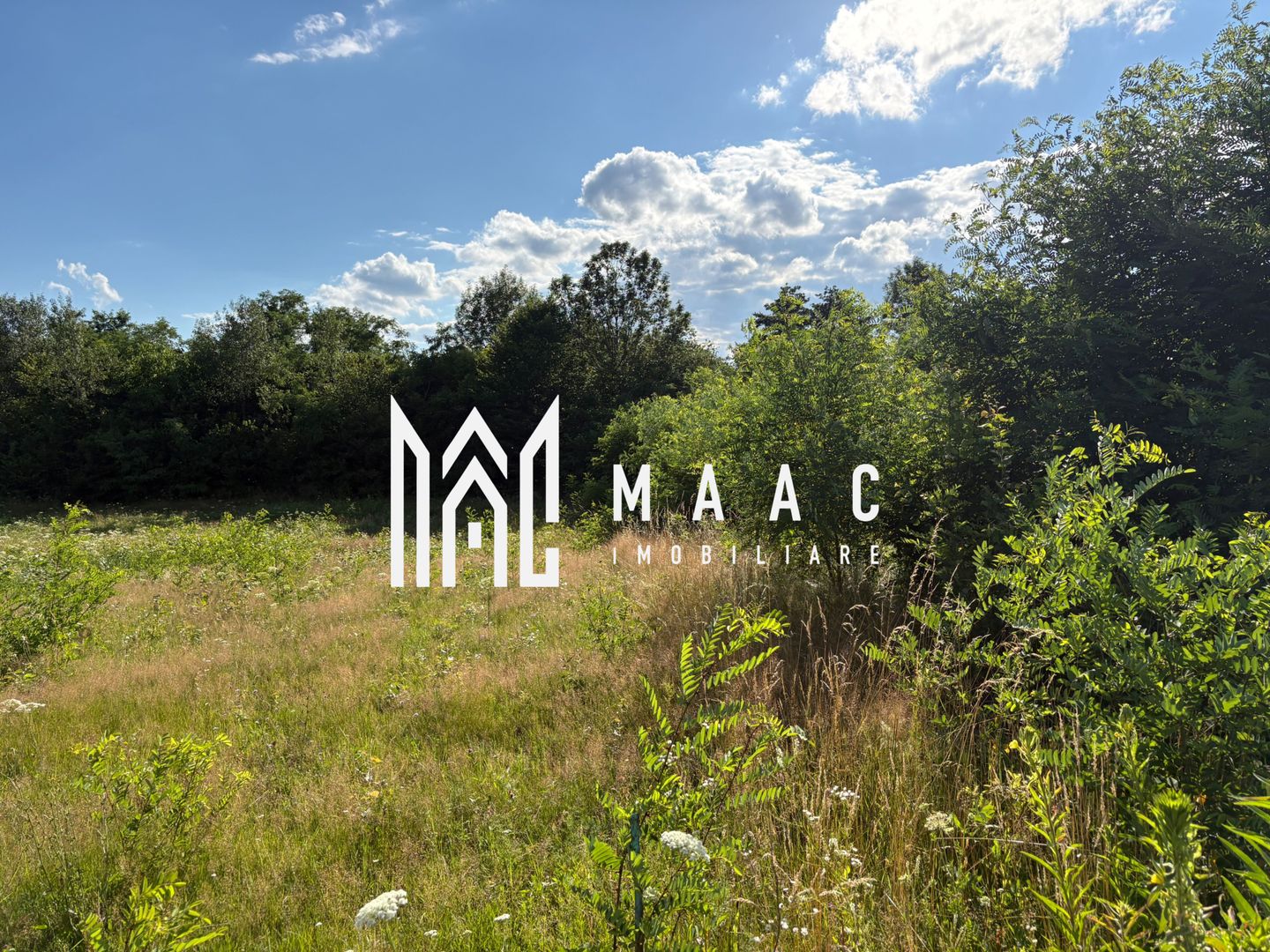 Teren intravilan 1100 mp | Valea Avrigului, Avrig | 21 m deschidere - Poză 3