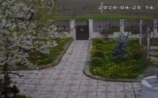 Vanzare casa P+1, anexe, curte, sat Verseni, comuna Miroslovesti, la asfalt - Poză 3