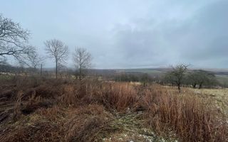 Casa Demolabila | Rediu | Teren 3278 mp | Posibiliate parcelare - Poză 6