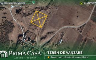 Teren in Focsanei Vadu Pasii S=7080mp - Poză 2