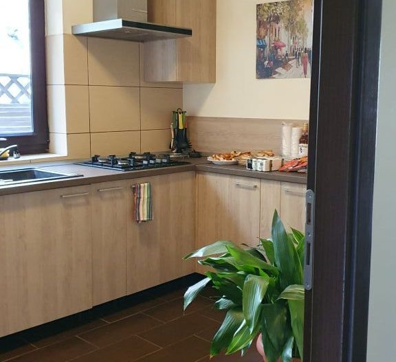 Vanzare vila 5 camere | Langa padure | Bucuresti | Baneasa - Poză 10