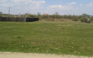 Vanzare teren intravilan, Bascov - Dobrogostea - Poză 11