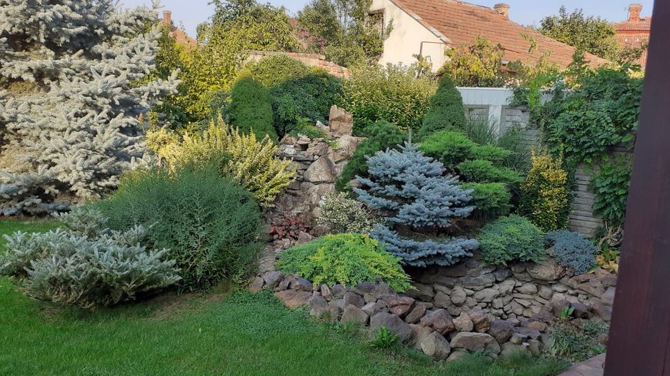 Ag EUROPA vinde casa individuala 6 cam. si teren 5 ari în Titulescu. - Poză 9