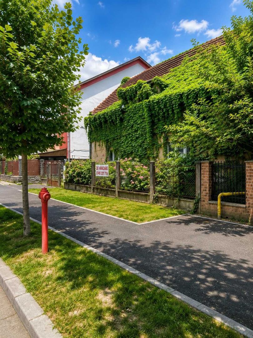 Proprietate de investiție, zona zero Satu Mare – teren 744 m2, front 19 m - Poză 3