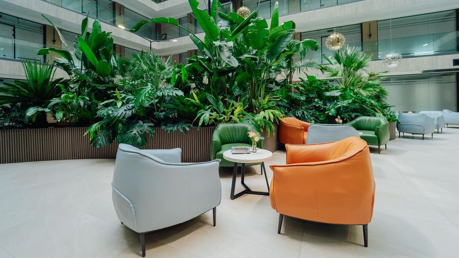 Spațiu Comercial Premium CHIRIE – 170 m² - Poză 10