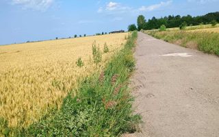 Teren extravilan de 5000 mp în Valea Ursului, vânzare - Poză 5