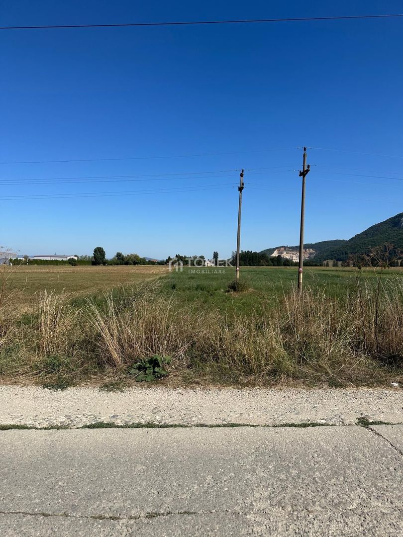 Teren industrial,Cucului-INA-Avicola - Poză 6