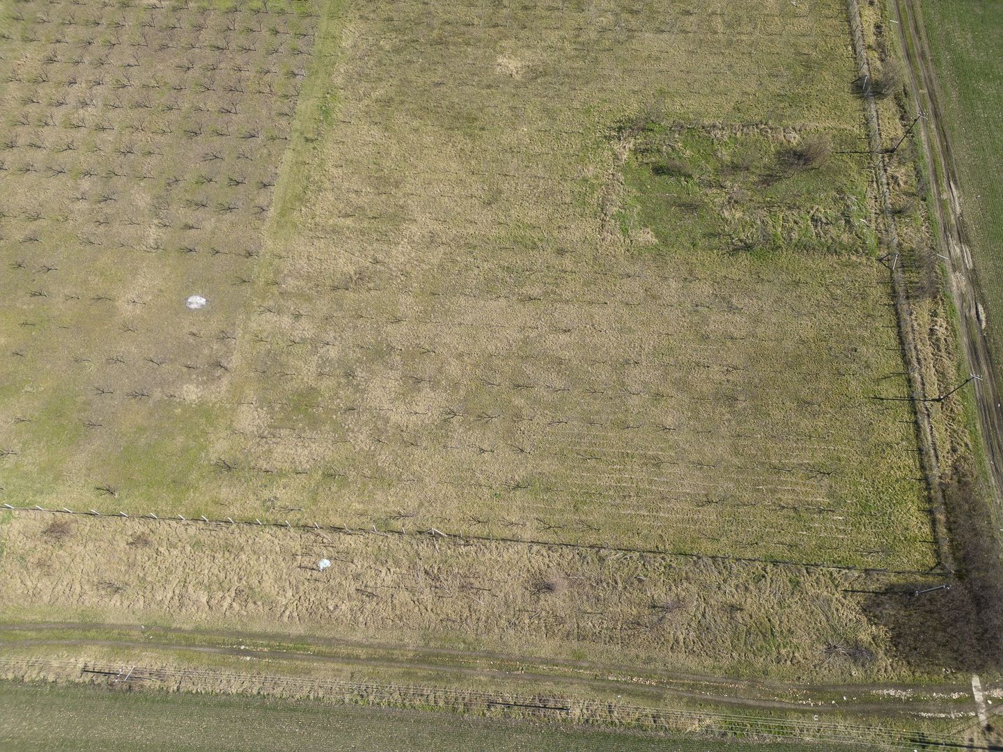 Teren intravilan de 1400 mp în Battonya - Poză 20