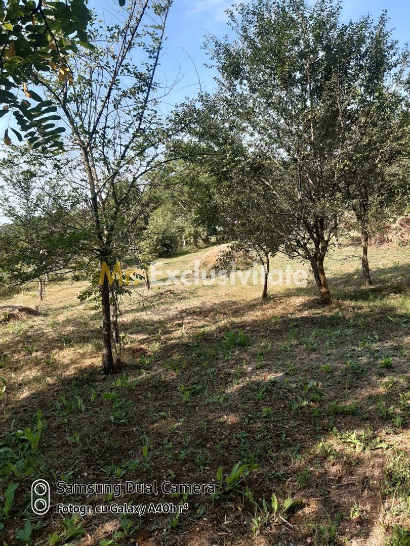 Teren 2240 mp intravilan + casa batraneasca Hintesti-Basangesti - Poză 14