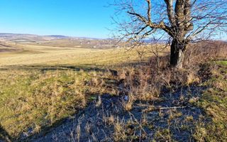 Teren extravilan-Dealul Sibiului - Poză 1